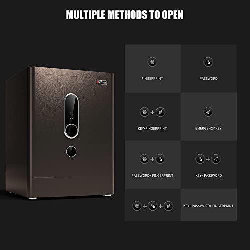 HOLOJOY Biometric Fingerprint Home Safe Box for Money Office Personal Safe with Emergency Key Lock Electronic Keypad Touch Screen Security Money Documents Valuables Safe Box (4 Cubic Feet)