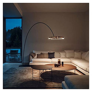 None Floor Lamp Large Luxury Fishing Lamp Alloy Lamp Shade LED Light Source Postmodern Floor Lamp