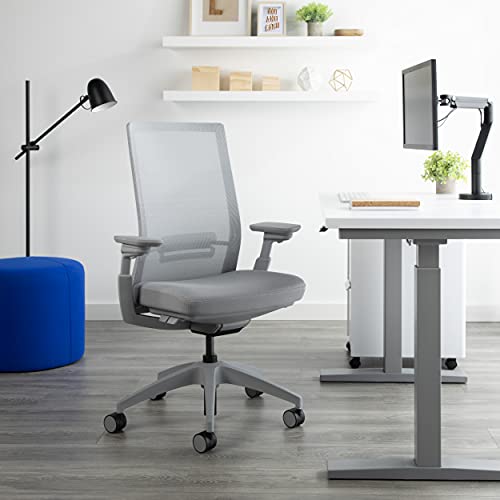 Allsteel Evo Office Chair with Lumbar Support, Adjustable Arms, Activated Recline - Gray Frost Mesh