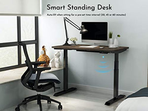 Hoo Dual Motor Adjustable Height Electric Standing Desk 47 x 27 inches, Electric Sit Stand Desk with Solid Top Assembly in 5 Minutes, Smart Stand Up Desk with 3 Stage Adjustable Frame for Home Office
