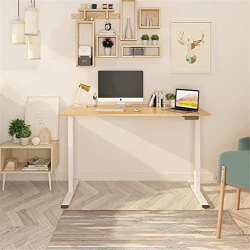GaRcan Electric Height Adjustable Standing Desk - Two-Stages Lift Desk