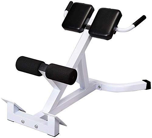 Henf Roman Chair, Hyperextension Bench Adjustable 45 Degree AB Back Abdominal Exercise Sports Machine for Strength Training,White & Black