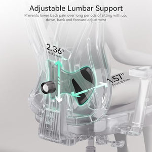 Hbada Ergonomic Office Chair with Adjustable Lumbar Support, Height, Footrest, 2D Headrest - Black