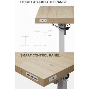 SanzIa Electric Standing Desk with Drawer and Storage Shelf - Height Adjustable Computer Workstation, Memory Presets, USB - Style 1, 138 * 60 * 134-180cm