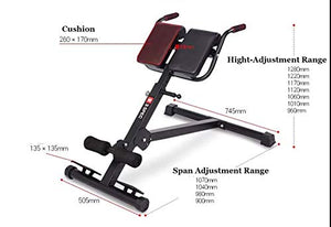 TOE Roman Chair Multifunctional Height-Adjustable Weightlifting Bed Sports Stretching Stool Strength Training Back Machines Max Weight 660Lbs
