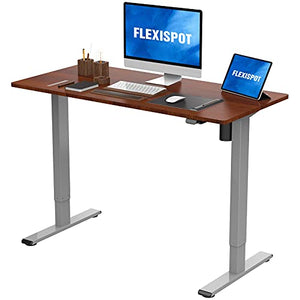 Flexispot Standing Desk 48 x 24 Inches Height Adjustable Desk Electric Sit Stand Desk Home Office Desks Vici (Gray Frame + Mahogany Top)