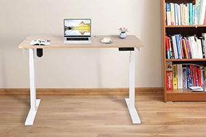 Electric Standing Desk,Adjustable Height Desk,Home Office Workstation Stand Up Desk for Small Space