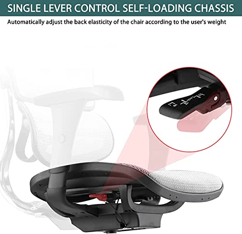 Ergonomic Mesh Office Chair with Lumbar Support & Armrest