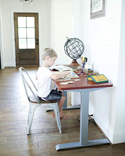 Flexispot EN1 Primo Electric Standing Desk Adjustable Height Desk for Home Office Computer Workstation, Whole Piece Walnut Desktop with Gray Leg, 48x30INCH