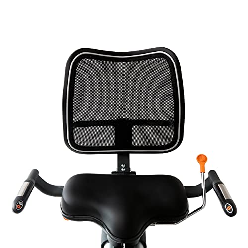 3G Cardio Elite RB Exercise Bike, Recumbent