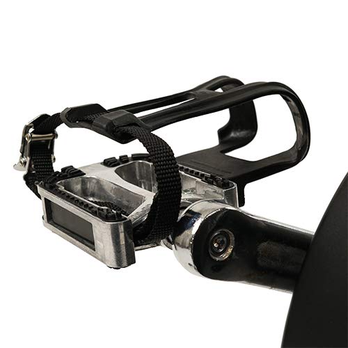 Sunny Health & Fitness SF-B1714 Evolution Pro Magnetic Belt Drive Indoor Cycling Bike, High Weight Capacity, Heavy Duty Flywheel