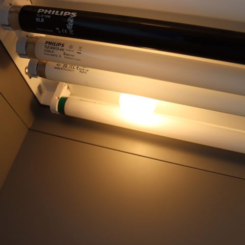 HayWHNKN Color Matching Cabinet for Textile Printing Dyeing Materials - D65 TL84 UV F Light Source 110V