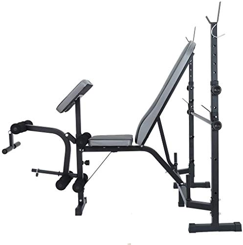DLWDMRV Professional equipment auxiliary dumbbell bench Weight Benches, Multifunctional Strength Training Benches Workout Station Adjustable Dumbbell Weightlifting Bench with Preacher Curl Leg Develop