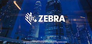 Zebra Technologies P1046696-016 Spare Parts, ZE500-4 Lh and Rh, Kit, Print Head, 300 DPI