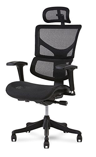 X Chair X1 Task Chair, Black Flex Mesh with Headrest