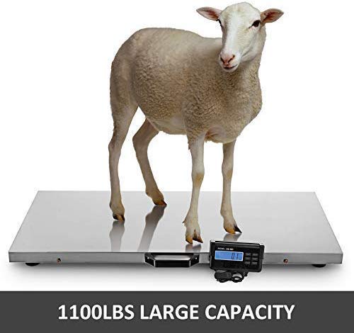 Happybuy 1100Lbs x 0.2Lbs Digital Livestock Scale Large Pet Vet Scale Stainless Steel Platform Electronic Postal Shipping Scale Heavy Duty Large Dog Hog Sheep Goat Pig Sheep Scale