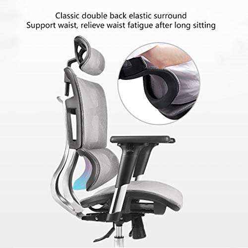 LYLY Ergonomic Reclining Office Chair with Double Back Waist Support (Nylon feet)