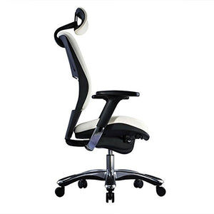 GM Seating Ergolux Genuine Leather Executive Hi Swivel Chair Chrome Base with Headrest, Black