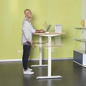 Fromann Electric Stand up Desk Frame Workstation Dual Motor Ergonomic Standing Lifting Columns Height Adjustable Base with Memory Controller