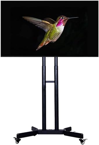 REPALY TV Stand Mobile TV Cart Adjustable Mount Bracket for 32-65 Inch Flat Screens - Home Exhibition Display Trolley