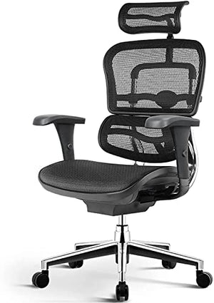 None Ergonomic Mesh Office Chair with Lumbar Support & Armrest