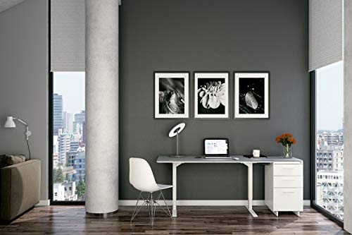 BDI 6451 SW/GRY Centro Lift Standing Desk (60” x 24” top), Satin White/Gray Glass