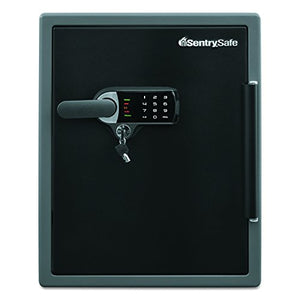SentrySafe SFW205UPC Fire Chests, Safes