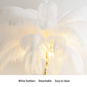 Generic Ostrich Feather Floor Lamp 1.6m Soft Light High Pole Lamp