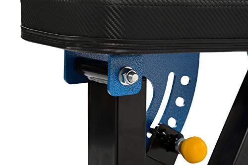 Adjustable Weight Bench| Heavy Duty Strength Training Utility Bench for Full Body Workout| New Model-Weight Capacity 1000 lbs (Black & Blue)