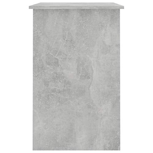 Canditree Modern Writing Desk with Storage Drawer and Cabinet, Computer Desk Workstation for Home Office (Concrete Gray)