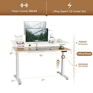 FinerCrafts Electric Sit Stand Desk 55 x 28 Inches Height Adjustable - Natural Maple Desktop/White Frame