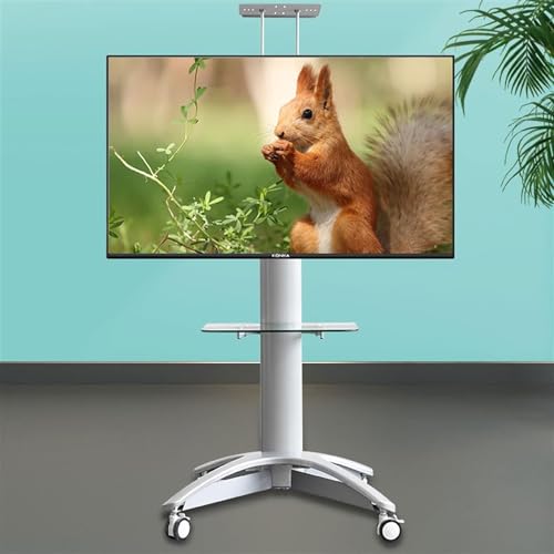 REPALY TV Stand Mobile Display Cart Bracket for 32/65/70 Inches TVs