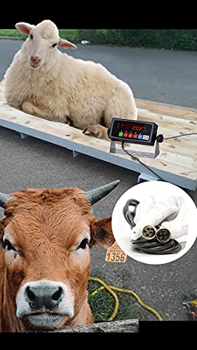 PEC Livestock Cattle Squeeze Chute Scale Kit for Pigs Goats Sheep 10,000LBS/0.1 NTEP Legal for Trade Scale