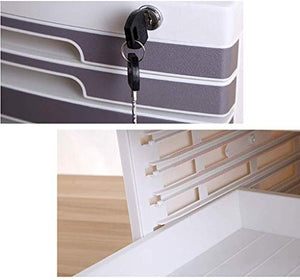 None File Cabinet 2 Drawers Storage Box Furniture