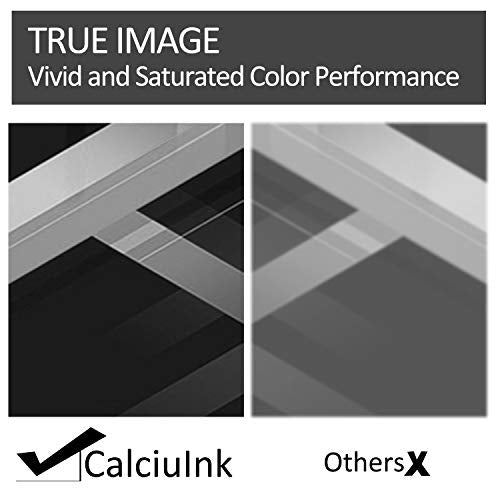 Compatible 2 Pack Black 55X | CE255X High Yield Toner Cartridge Replacement for HP Laserjet P3015 P3015x MFP M521dn;Enterprise 500 MFP M525dn M525;Flow MFP M525c Printer Toner,Sold by CalciuInk.