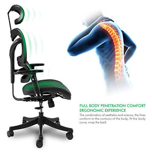 Ergonomic Mesh Office Chair High Back with Adjustable Headrest/Tilt Back/Tension/Lumbar Support/Armrest/Seat Breathable High End Argomax Computer Desk Chair 360 Swivel Self Adaptive Base (Upgrade)