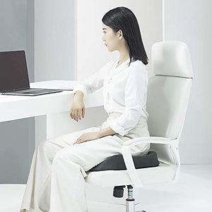 ZHDBD Seat Cushion for Lower Back, Hip, Sciatica Pain - Ergonomic Pad for Car, Wheelchair, Desk Chair
