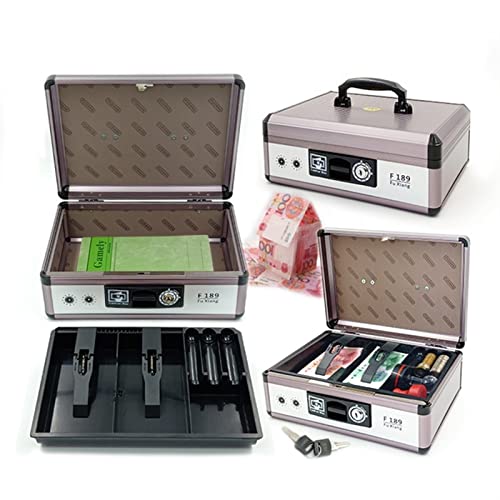 zenglingliang Cash Box Cash Box with Money Tray Safe Metal Lock Box Locking Boxes with Key Money Saving Organizer- Security Box with Coin Tray F189 Money Box