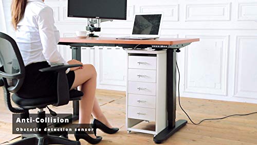 GM Adjustable 47 x 24 Inch Quick Install Workstation, Electric Home Office Sit Stand Desk, Walnut Top Gaming Computer Table