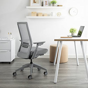 Allsteel Evo Office Chair with Lumbar Support, Adjustable Arms, Activated Recline - Gray Frost Mesh