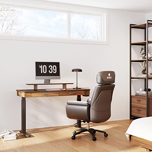 EUREKA ERGONOMIC Electric Standing Desk with Drawers, 55" Height Adjustable, Monitor Shelf, APP Control, Sintered Stone Desktop - Black/Walnut