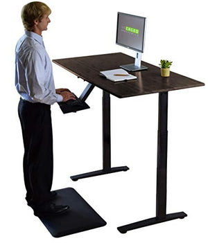 Rise UP Dual Motor Electric Standing Desk 60x30 Black Desktop Premium Ergonomic Adjustable Height sit Stand up Home Office Computer Desk Table Motorized Powered Modern Furniture Small Standup Table