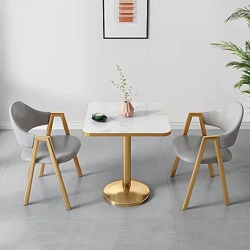WEBERT Office Reception Room Club Table and Chair Set - Dining Table Small Space Coffee Table and Chair Package - Office Negotiation Table and Chair Package - Kitchen Office Cafe (Color: G, Size: 80x)