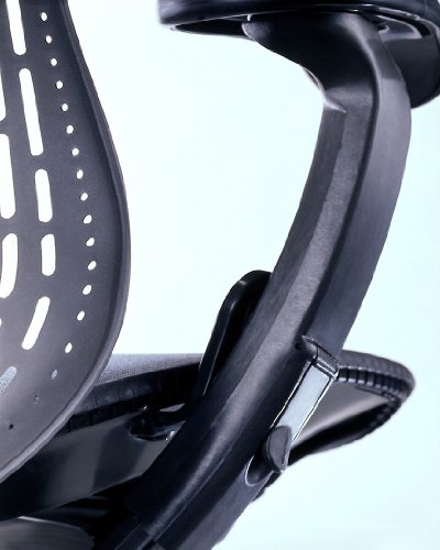 Mirra Chair by Herman Miller: Fully Featured w/Forward Tilt - Adjustable Arms - FlexFront Seat - Tilt Limiter - Lumbar Support - Hard Floor Casters - Graphite Frame/Graphite Seat