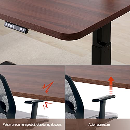 POMT Dual Motor Electric Height Adjustable Computer Desk, 52'' x 28'' Large Stand Up Workstation Board Home Office Table w Programmable Preset Controller 4 Memory Button (Black Frame + Brown Top)