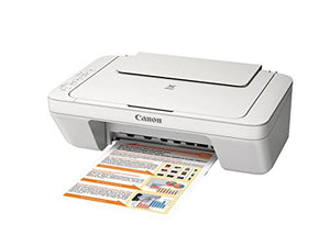 Canon MG2520 Color Photo Printer