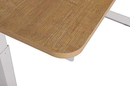 Electric Standing Desk,Adjustable Height Desk,Home Office Workstation Stand Up Desk for Small Space