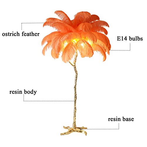 KOHARA Ostrich Feather Floor Lamp - Three Color Dimmable Nordic Standing Lamp