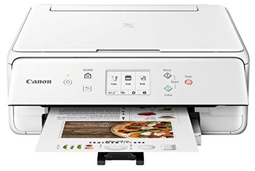 Canon PIXMA TS6220 Wireless All in One Printer with Mobile Printing, White