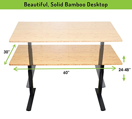 Rise UP Dual Motor Electric Bamboo Standing Desk 60x30" Desktop Tall Ergonomic Motorized Height Adjustable sit to Stand up Home Commercial Office Computer Workstation Modern Lift Raising with Memory